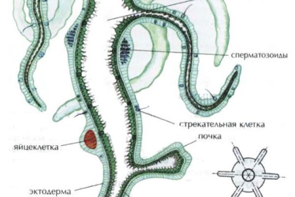 Кракен онион зеркало